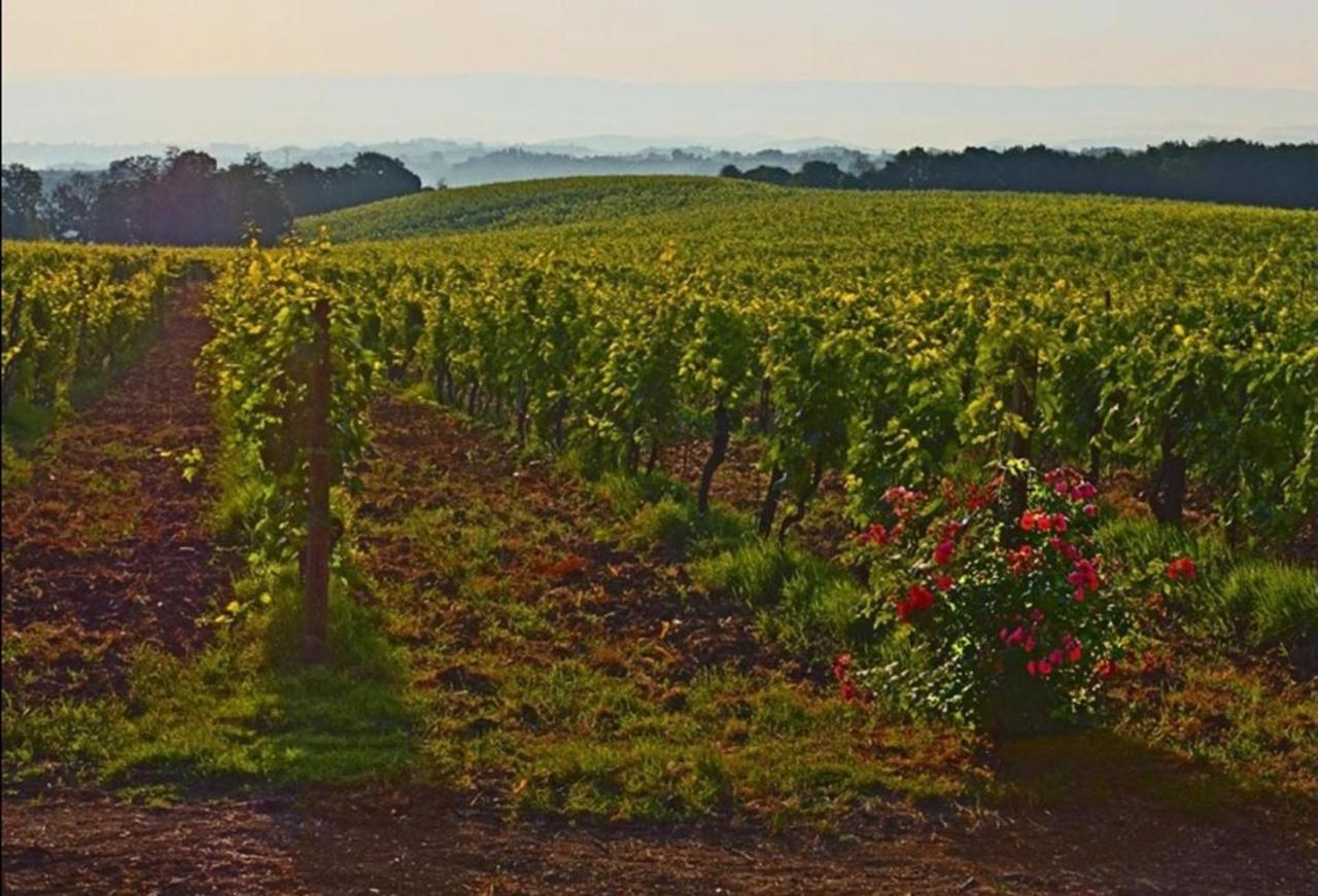 Agriturismo Fattoria Il Piano - Appartamento Focolare - San Gimignano Extérieur photo