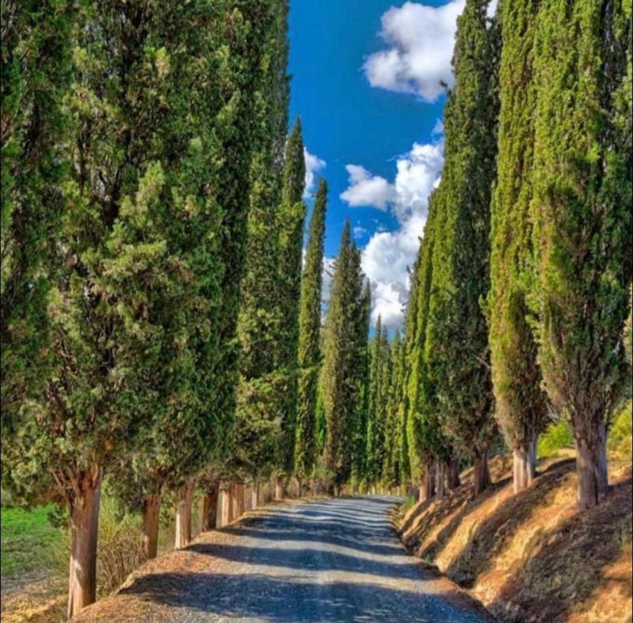 Agriturismo Fattoria Il Piano - Appartamento Focolare - San Gimignano Extérieur photo